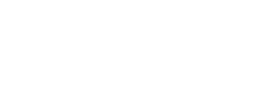 Logo lebenstraum mit Kolibri